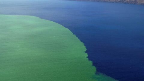 mancha producida por la lava y los gases en aguas del Mar de Las Calmas