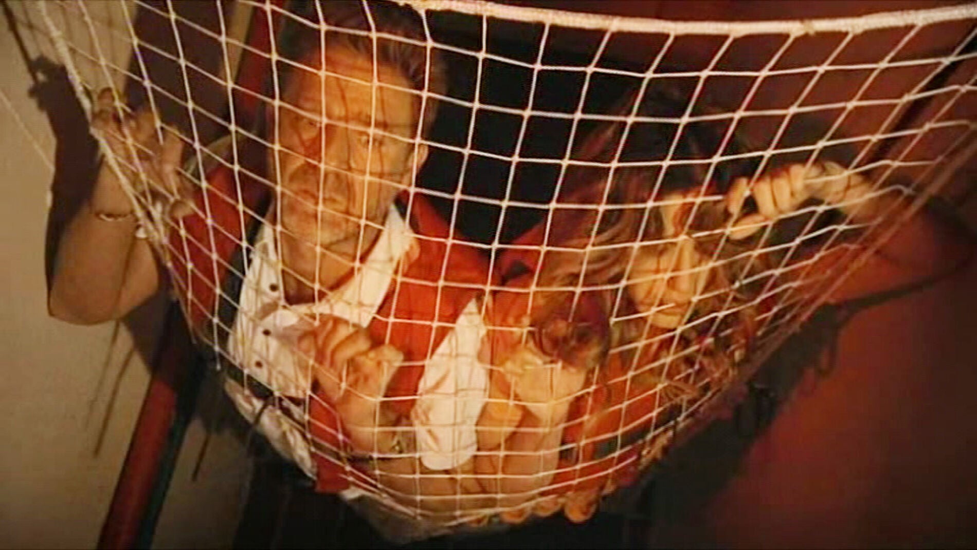 El capit&aacute;n y Julia