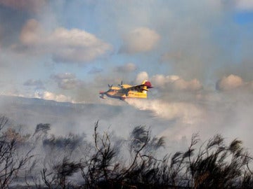 Incendio de Galicia Incendio de Galicia