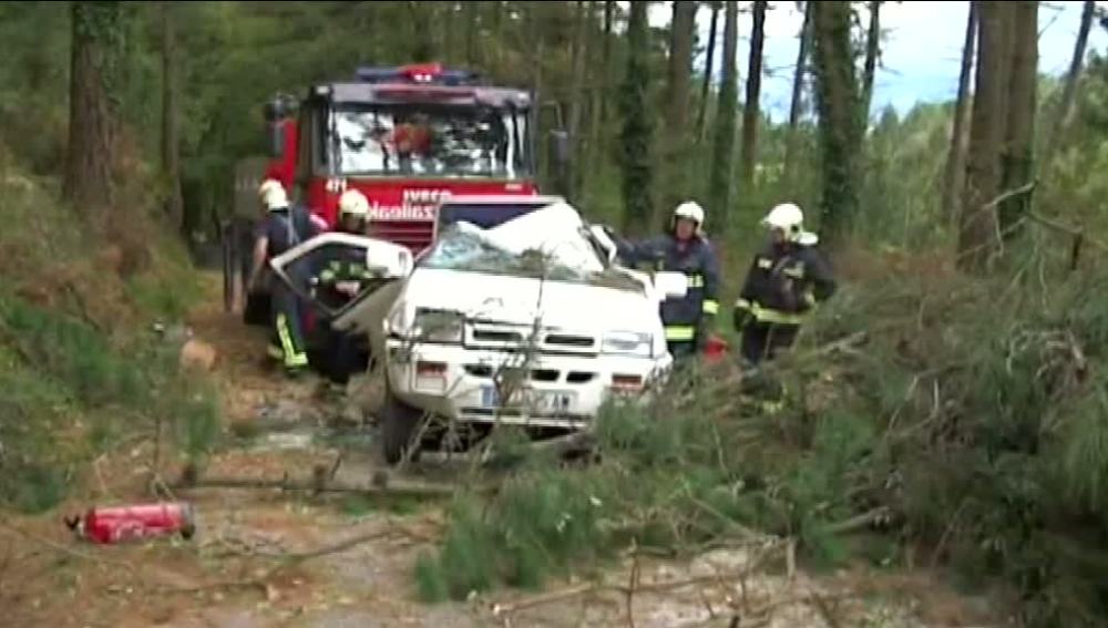 Un coche aplastado por un árbol en Vizcaya