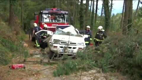 Un coche aplastado por un &aacute;rbol en Vizcaya