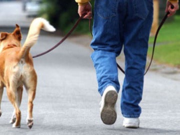 Paseando al perro