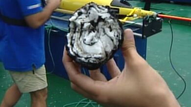 Cuatrocientos euros por un trozo del magma expulsado por el volcán de El Hierro