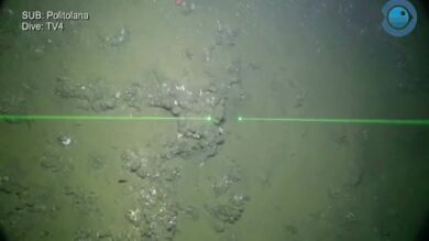 Últimas imágenes submarinas en El Hierro