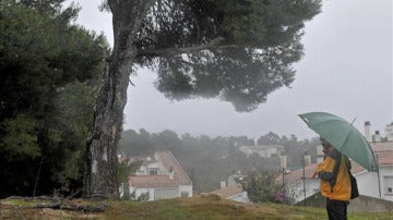Bosque de Lloret de Mar