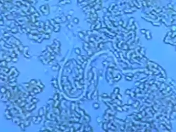 00122 00122