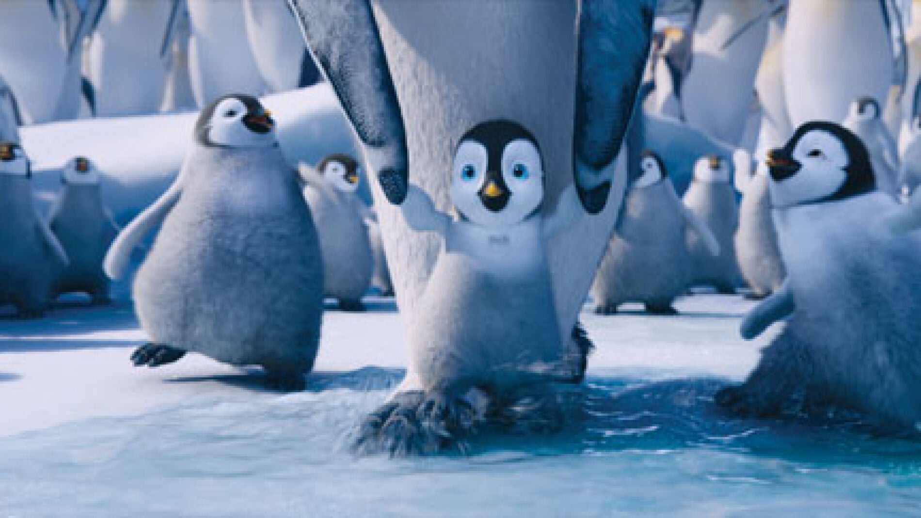 Estreno De 'Happy Feet 2' En LaSexta