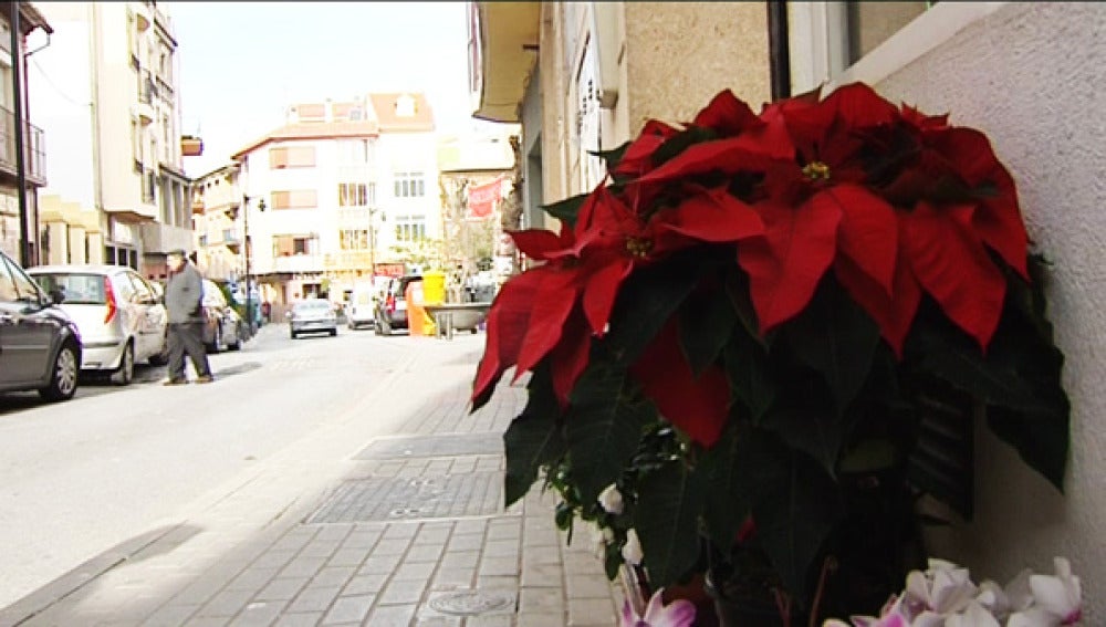 Navidad