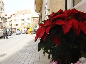 Navidad Navidad
