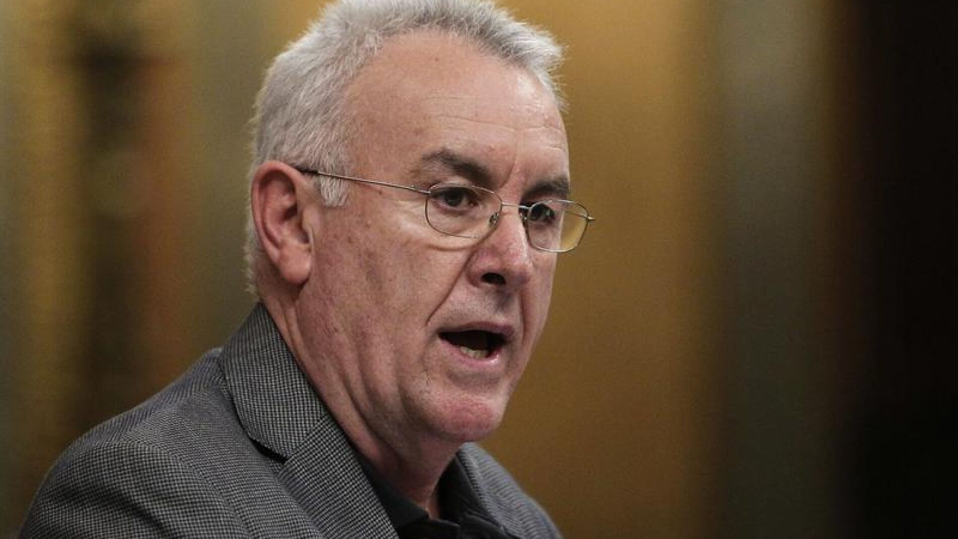 Cayo Lara desde la tribuna de oradores