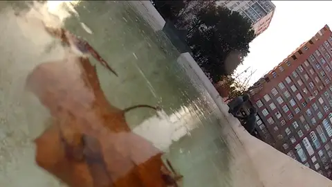 Las temperaturas han bajado de golpe Las temperaturas han bajado de golpe