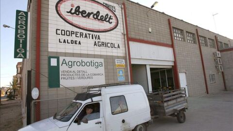 Los afectados de L'Aldea empiezan ven el dinero