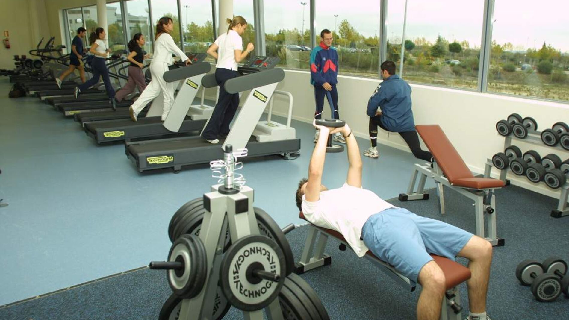 Gimnasio