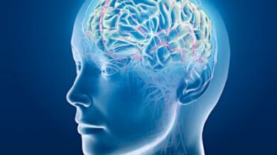 Una teoría experimental consigue reducir una proteína vinculada al alzheimer