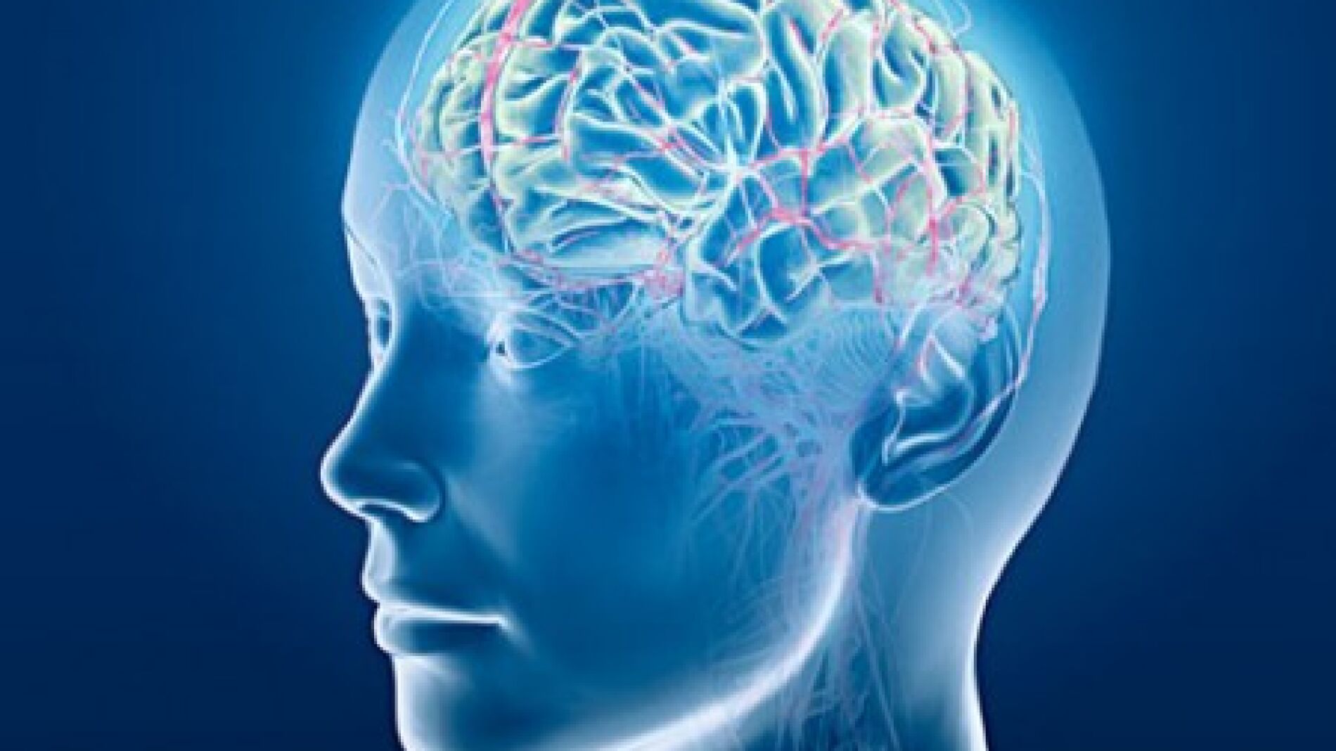 Los cerebros de las personas transexuales muestran diferencias biol&oacute;gicas