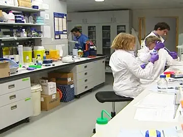 Trasplante de médula Trasplante de médula