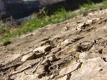 Tierra en sequía Tierra en sequía