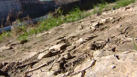 Tierra en sequ&iacute;a