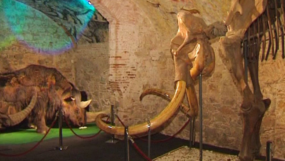 Museo del Mamut en Barcelona