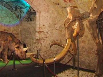 Museo del Mamut en Barcelona