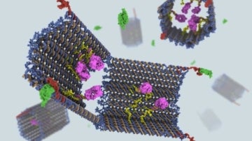 Nano-robots hechos de ADN