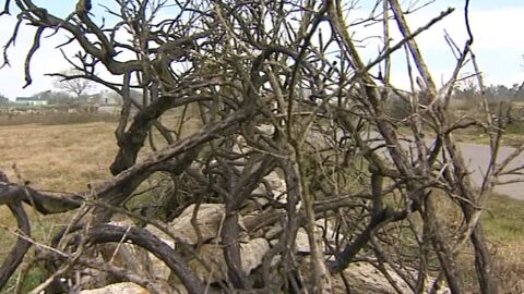 La Guardia Civil gallega adelanta a campa&ntilde;a de incendios