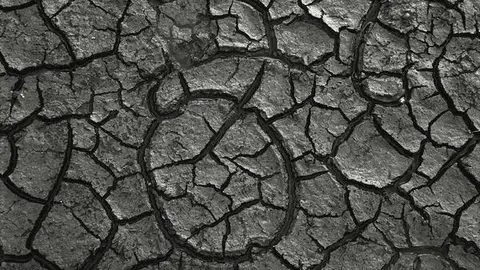 La sequía se deja notar en España La sequía se deja notar en España