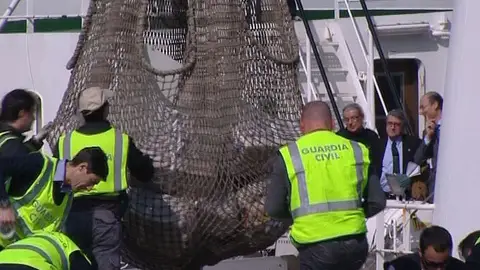 El ''Ratonero'' llega al puerto de Vigo El ''Ratonero'' llega al puerto de Vigo