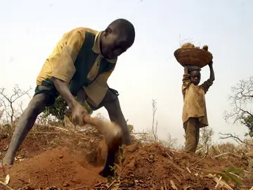 Imagen de archivo de dos niños trabajando en el campo en Nigeria. Imagen de archivo de dos niños trabajando en el campo en Nigeria.