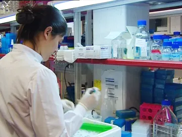 Investigaciones para la prevención de la muerte de niños por falta de oxígeno durante el parto. Investigaciones para la prevención de la muerte de niños por falta de oxígeno durante el parto.