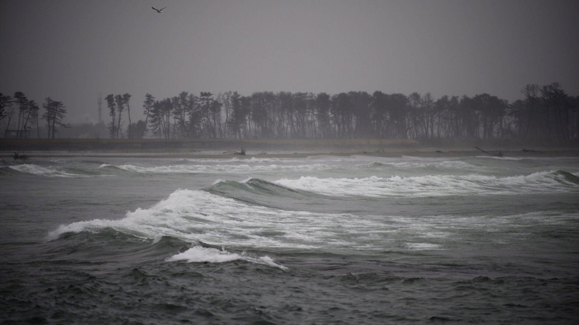 Estado actual de la playa del distrito Yuriage de Natori