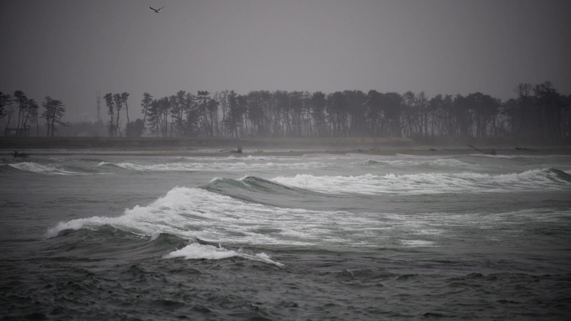 Estado actual de la playa del distrito Yuriage de Natori Estado actual de la playa del distrito Yuriage de Natori