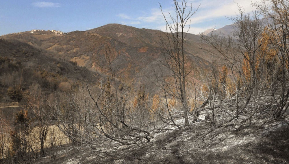 Parte de la zona quemada junto la N-260 entre Noales y Laspaúles