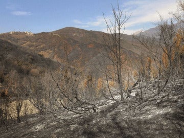 Parte de la zona quemada junto la N-260 entre Noales y Laspaúles