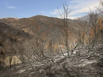 Parte de la zona quemada junto la N-260 entre Noales y Laspaúles Parte de la zona quemada junto la N-260 entre Noales y Laspaúles