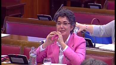 La portavoz del PNV se lía durante su interpelación a De Guindos en el Senado