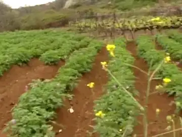 00064 00064