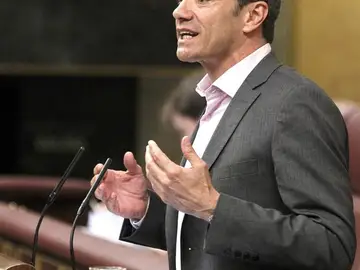 Toni Cantó, en el Congreso Toni Cantó, en el Congreso