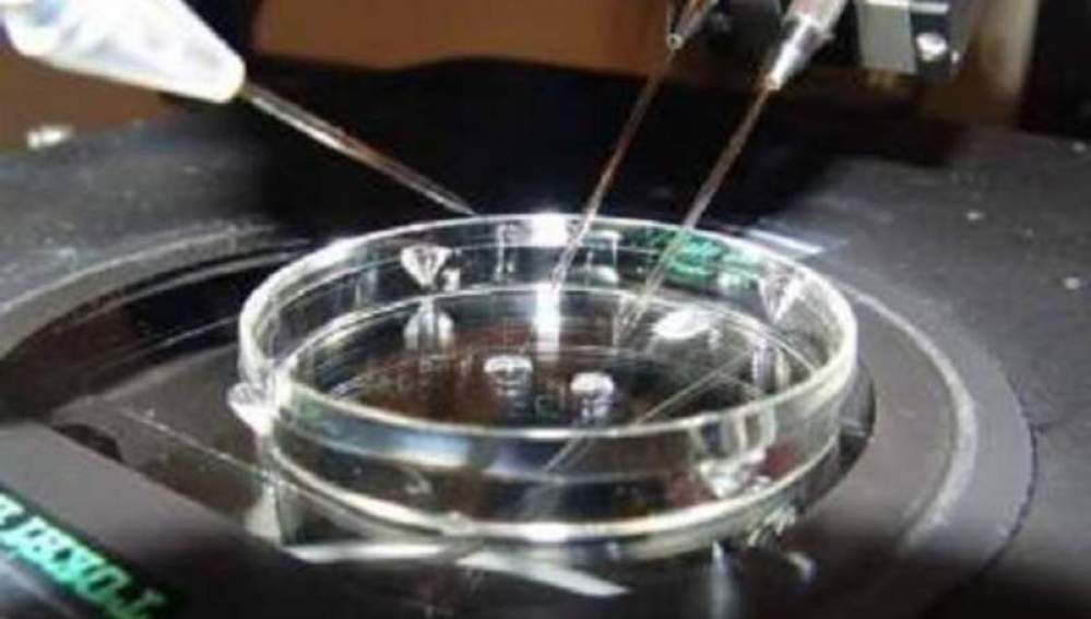 Tratamientos de fertilidad
