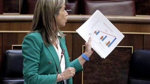 La ministra de Sanidad, Servicios Sociales e Igualdad, Ana Mato