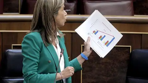 La ministra de Sanidad, Servicios Sociales e Igualdad, Ana Mato La ministra de Sanidad, Servicios Sociales e Igualdad, Ana Mato