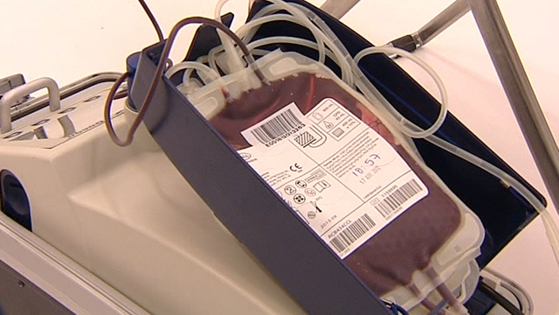 70 euros semanales por donar plasma