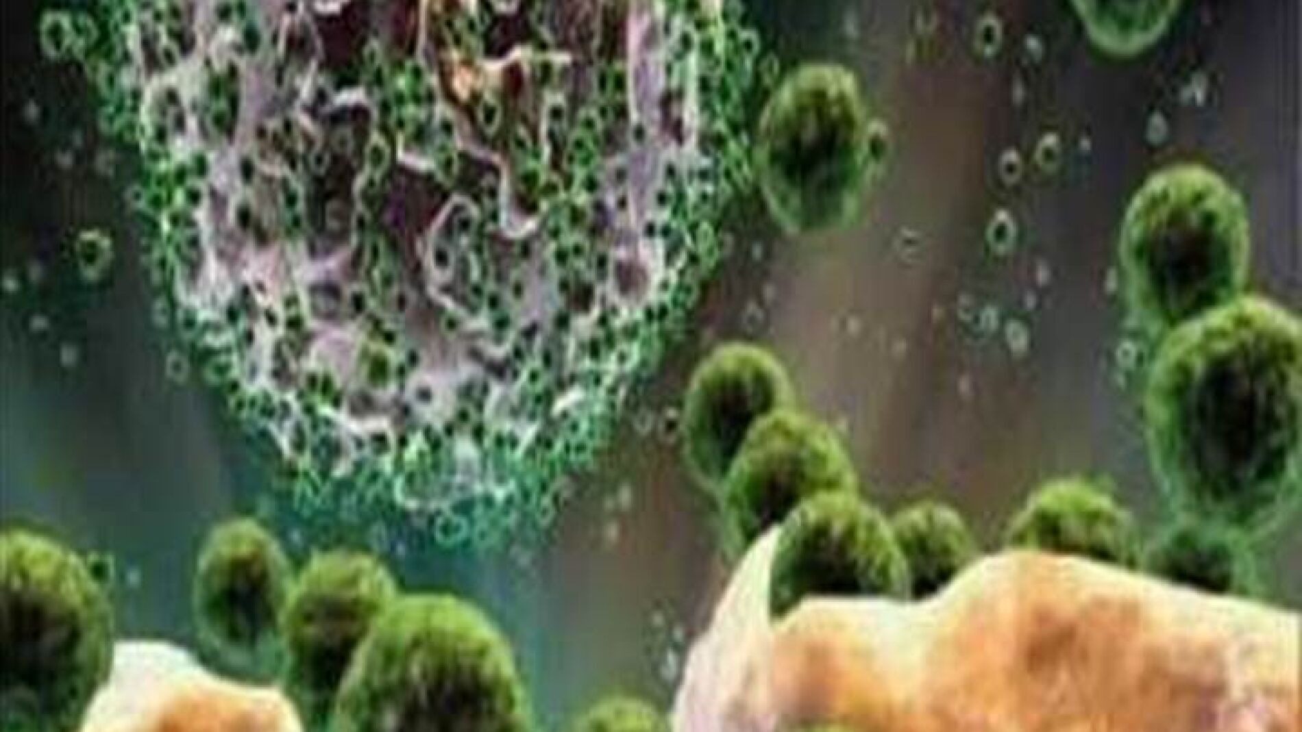 Imagen de una mol&eacute;cula