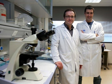 Investigadores del Cibir Investigadores del Cibir