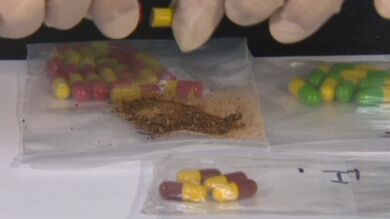 Corea del Sur decomisa píldoras rellenas de carne en polvo de bebés muertos