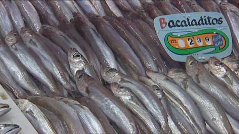 Aumentan las larvas de anisakis en bacaladillas procedentes del Atl&aacute;ntico.