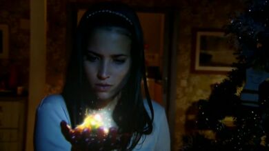 ¿Qué hará Sandra con la planta?