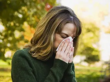 Aumentan las alergias Aumentan las alergias