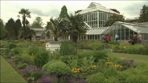 &iquest;Un jard&iacute;n para al&eacute;rgicos? Es posible