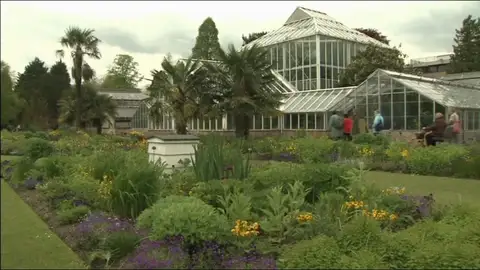 ¿Un jardín para alérgicos? Es posible ¿Un jardín para alérgicos? Es posible